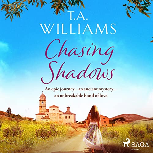 Cover of Chasing Shadows