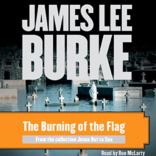 Cover of The Burning of the Flag