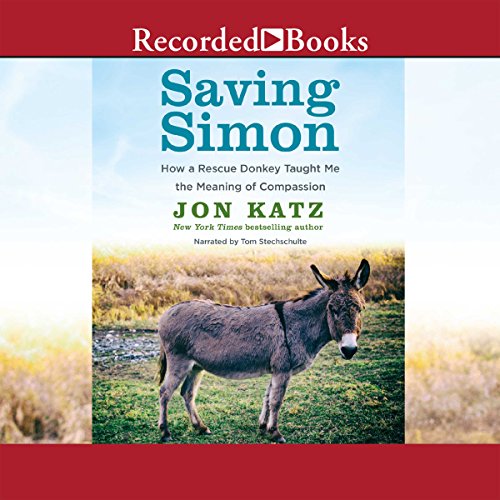 Cover of Saving Simon