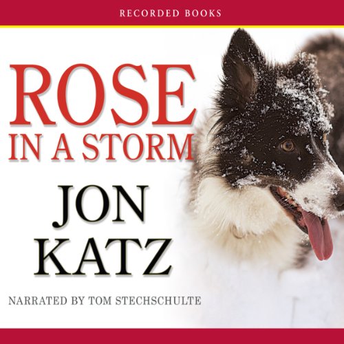Cover of Rose in a Storm
