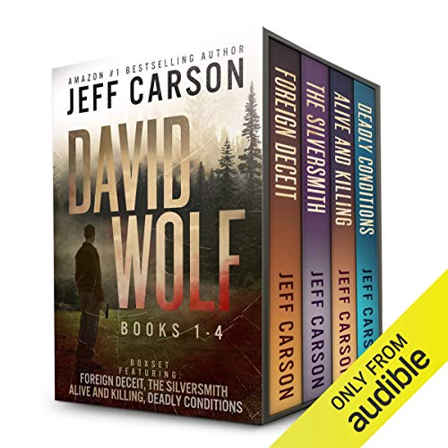 Cover of The David Wolf Mystery Thriller Series: Books 1-4