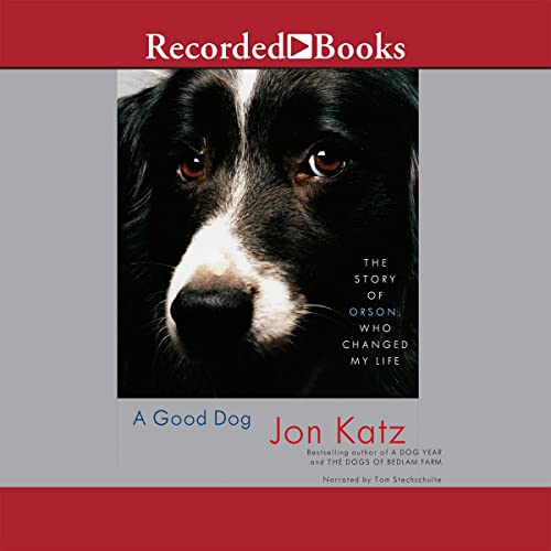 Cover of A Good Dog