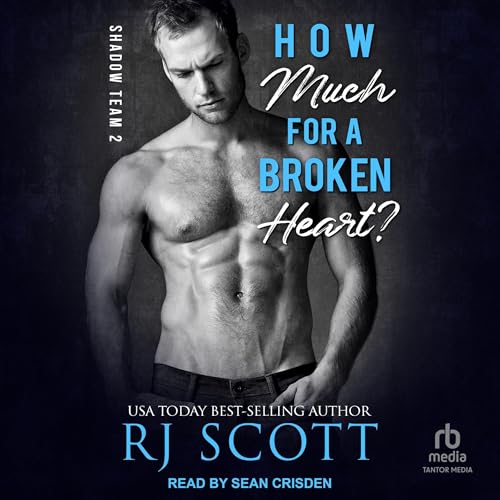 Cover of How Much for a Broken Heart?