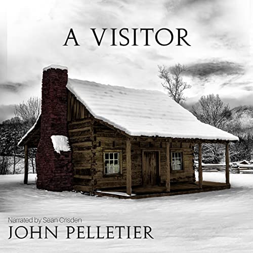 Cover of A Visitor