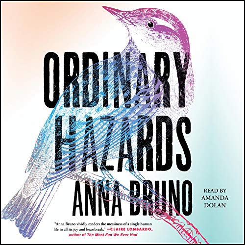 Cover of Ordinary Hazards