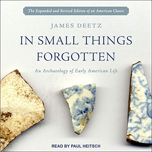 Cover of In Small Things Forgotten