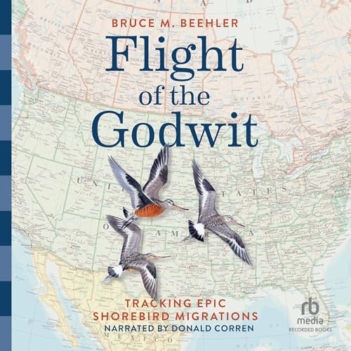Cover of Flight of the Godwit