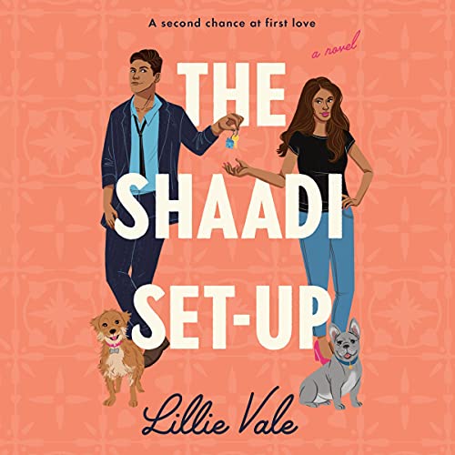 Cover of The Shaadi Set-Up