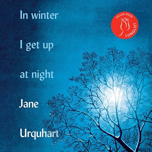 Cover of In Winter I Get Up at Night
