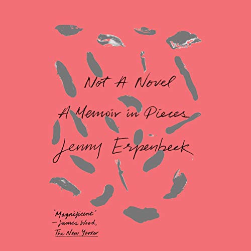 Cover of Not a Novel