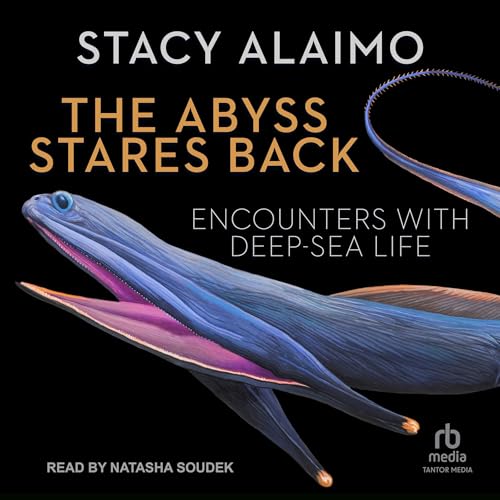 Cover of The Abyss Stares Back