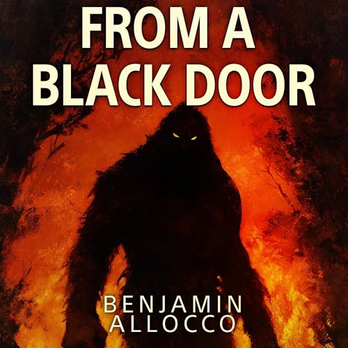 Cover of From A Black Door