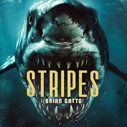Cover of Stripes