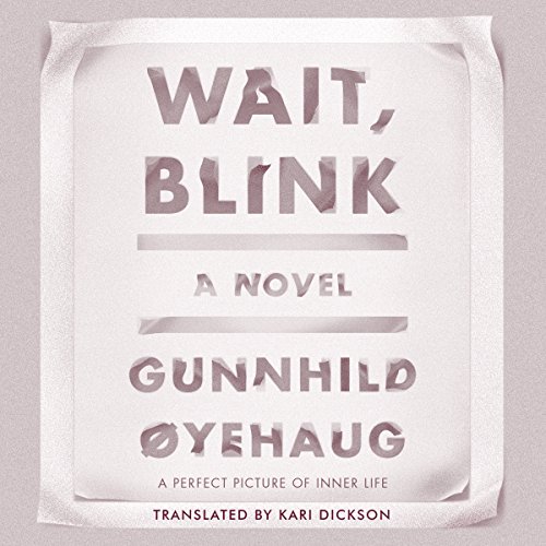 Cover of Wait, Blink