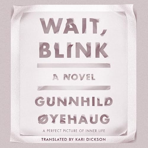 Cover of Wait, Blink