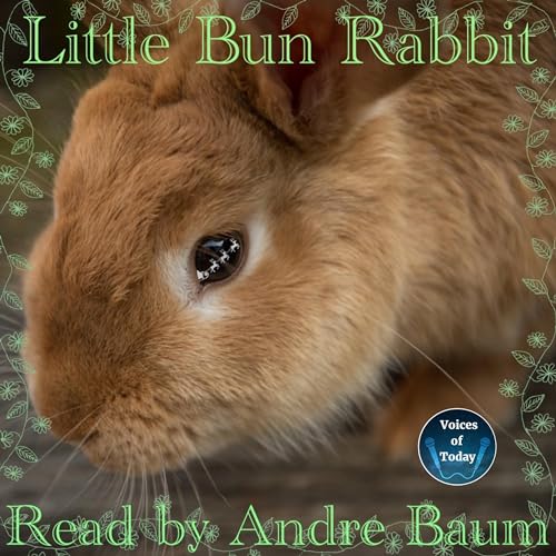 Cover of Little Bun Rabbit