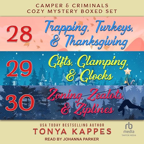 Cover of Camper and Criminals Cozy Mystery Boxed Set: Books 28-30