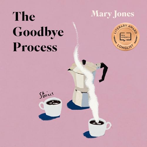 Cover of The Goodbye Process