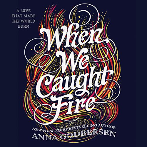 Cover of When We Caught Fire