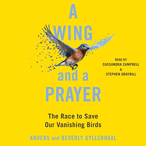 Cover of A Wing and a Prayer