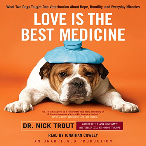 Cover of Love Is the Best Medicine