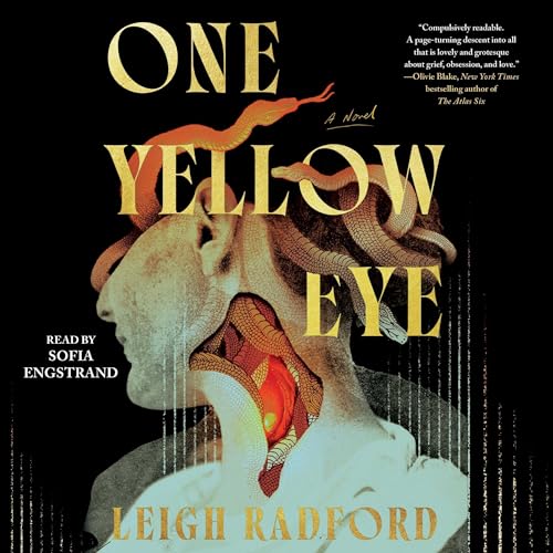 Cover of One Yellow Eye