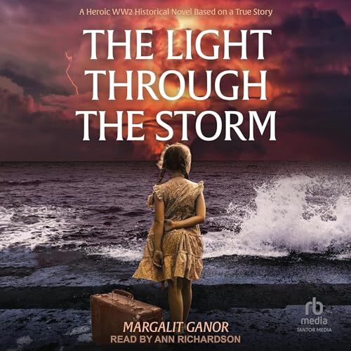 Cover of The Light Through the Storm