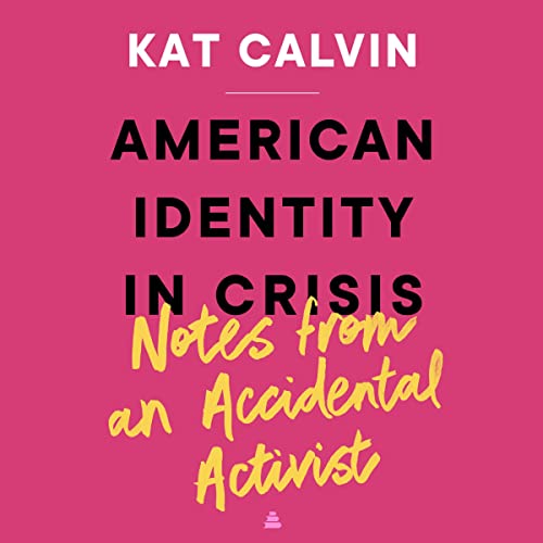 Cover of American Identity in Crisis: Notes from an Accidental Activist
