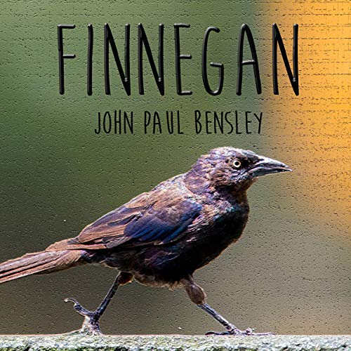 Cover of Finnegan