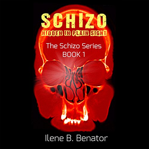 Cover of Schizo: Hidden in Plain Sight