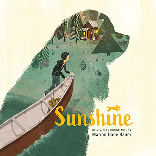 Cover of Sunshine