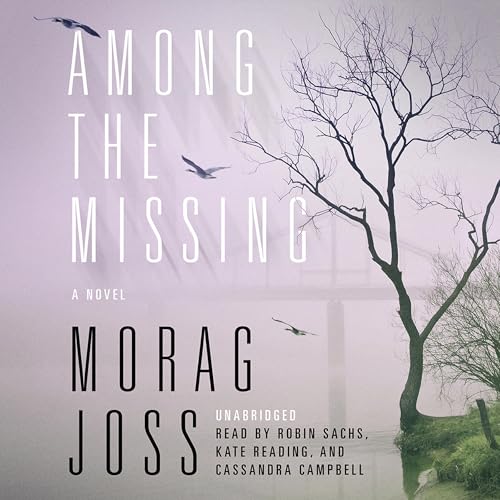 Cover of Among the Missing