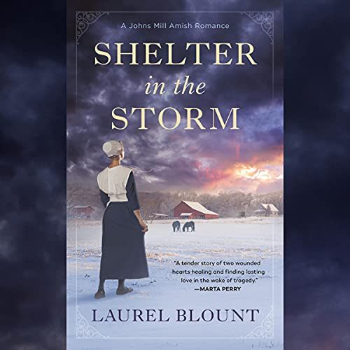 Cover of Shelter in the Storm