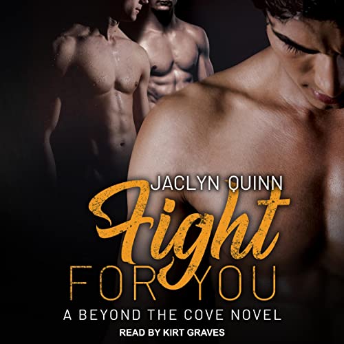 Cover of Fight for You