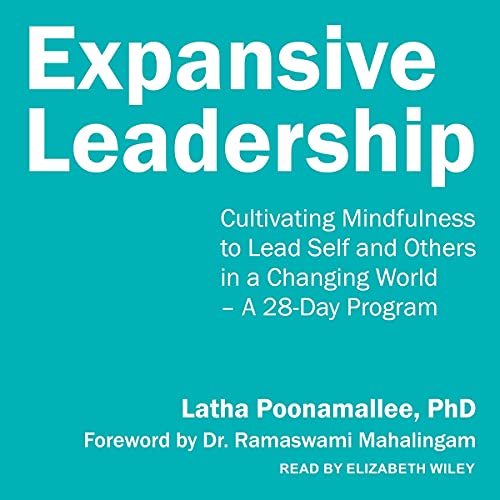 Cover of Expansive Leadership