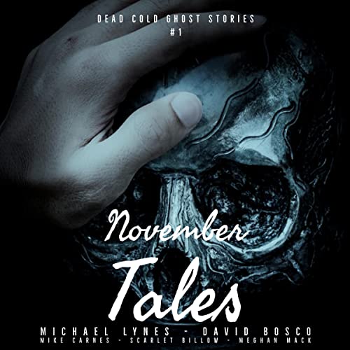 Cover of November Tales