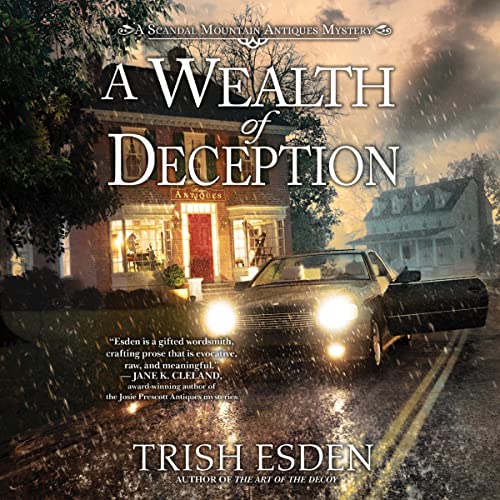 Cover of A Wealth of Deception