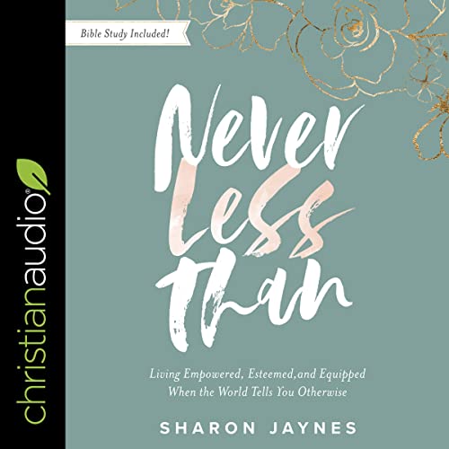 Cover of Never Less Than