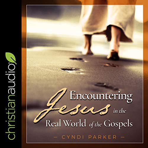 Cover of Encountering Jesus in the Real World of the Gospels