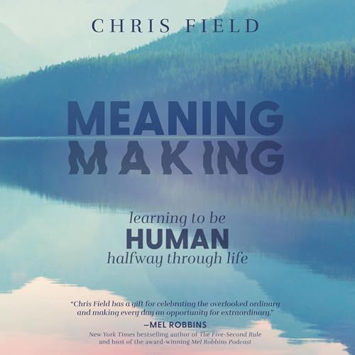 Cover of Meaning Making