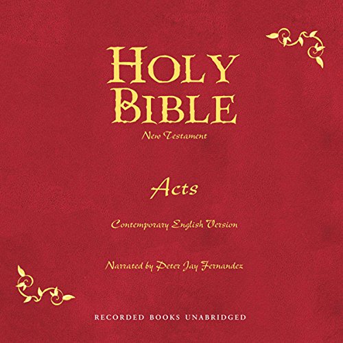 Cover of Holy Bible