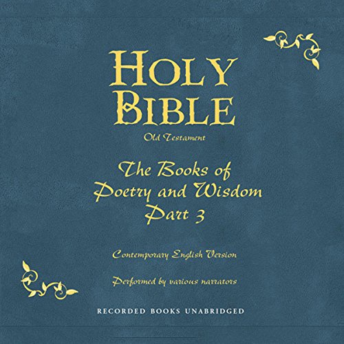 Cover of Holy Bible, Volume 13