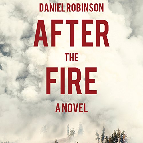 Cover of After the Fire