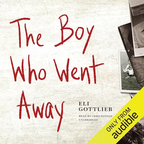 Cover of The Boy Who Went Away