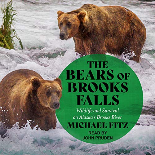 Cover of The Bears of Brooks Falls