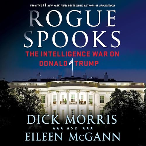 Cover of Rogue Spooks