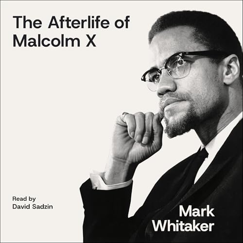 Cover of The Afterlife of Malcolm X