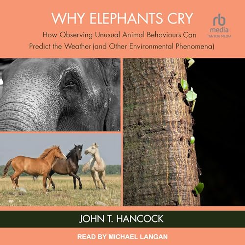 Cover of Why Elephants Cry
