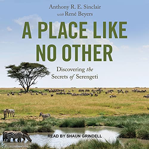 Cover of A Place Like No Other