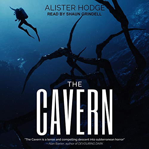 Cover of The Cavern